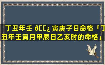 丁丑年壬 🌿 寅庚子日命格「丁丑年壬寅月甲辰日乙亥时的命格」